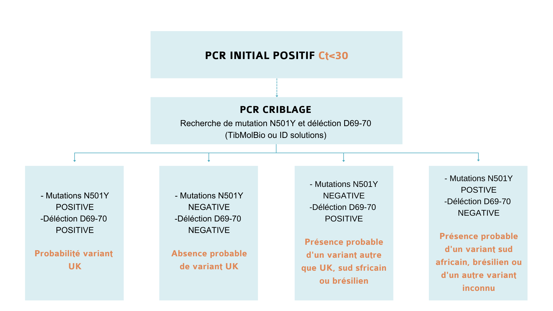 PCR Schema.png