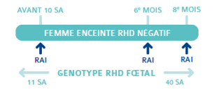 RHD 2.png