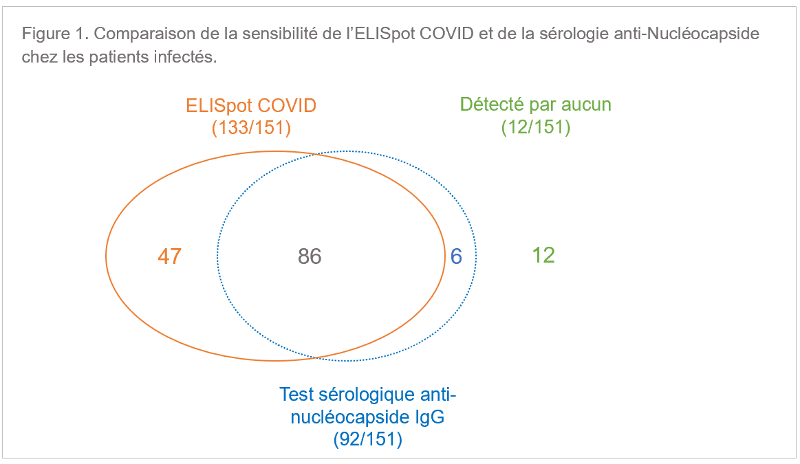 figure 1 bis.PNG