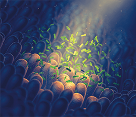 microbiote estomac.png