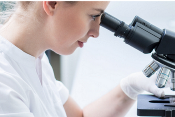microscope_hyperlymphocytose3.png