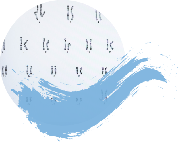 Bloc 6 - Laboratoire de bio médicale de référence (1).png 